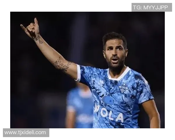 力气最大的足球明星揭秘:他们如何在赛场上展现超凡力量与技巧